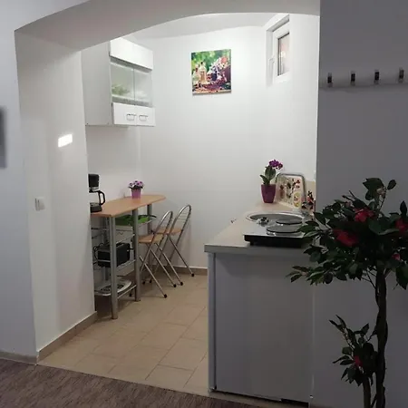 St House * Hermannstadt
